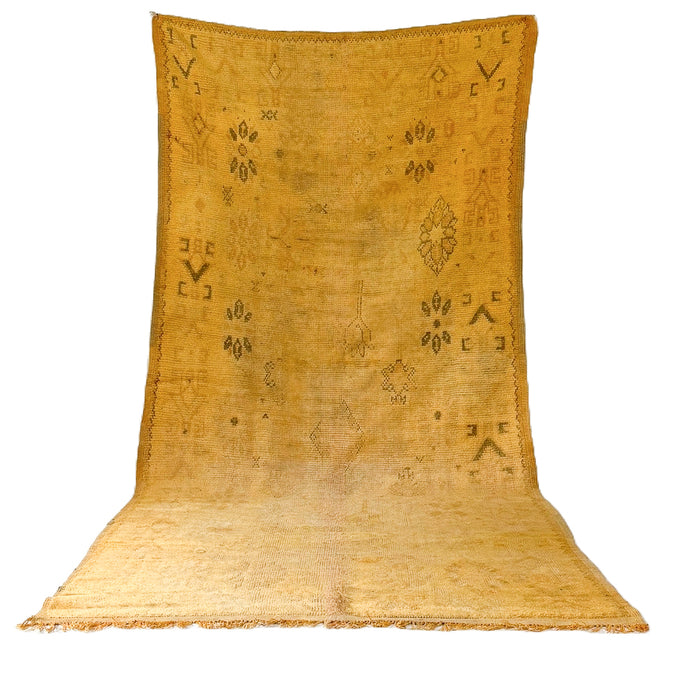 ASFAR- TAZNAKHT RUG 4'10" x 10'2"