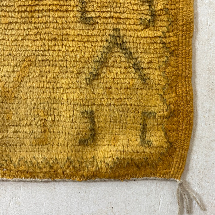 ASFAR- TAZNAKHT RUG 4'10" x 10'2"