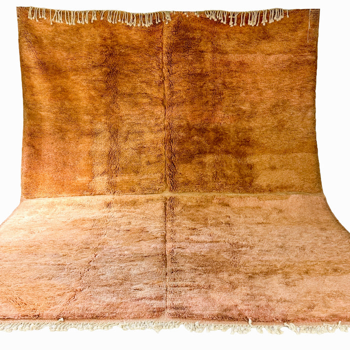 TALIBA -  MOROCCAN AMAZIGH RUG 9'6" x 13'